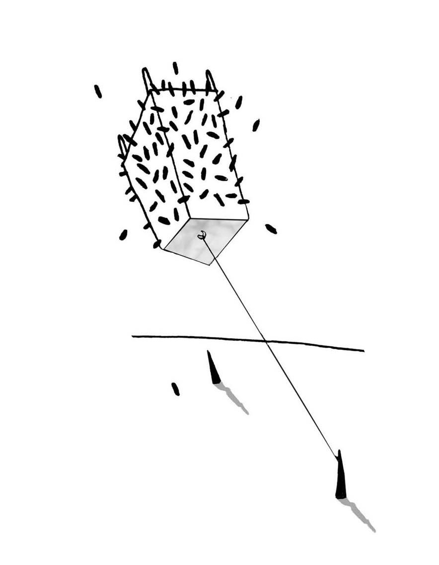 Dalekite - Dale Houstman